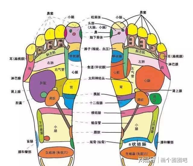 脚最新读法，探索足部健康的奥秘与科学护理