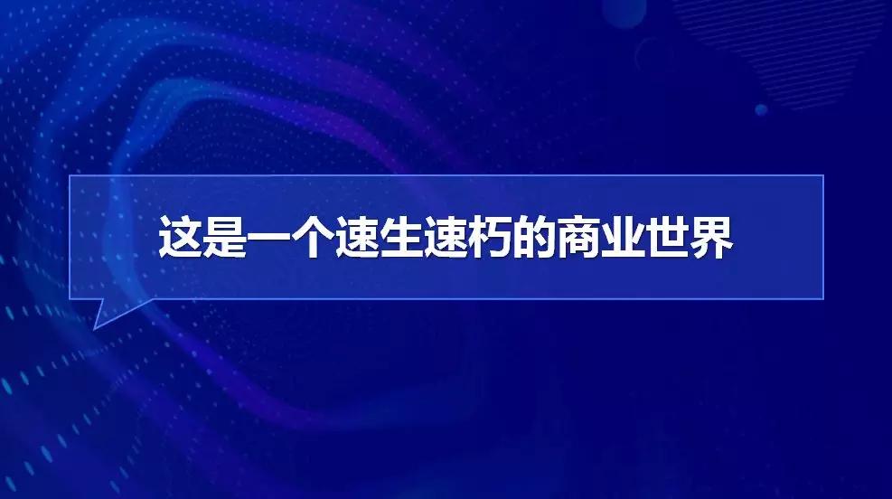 最新积目，探索数字时代的社交新趋势