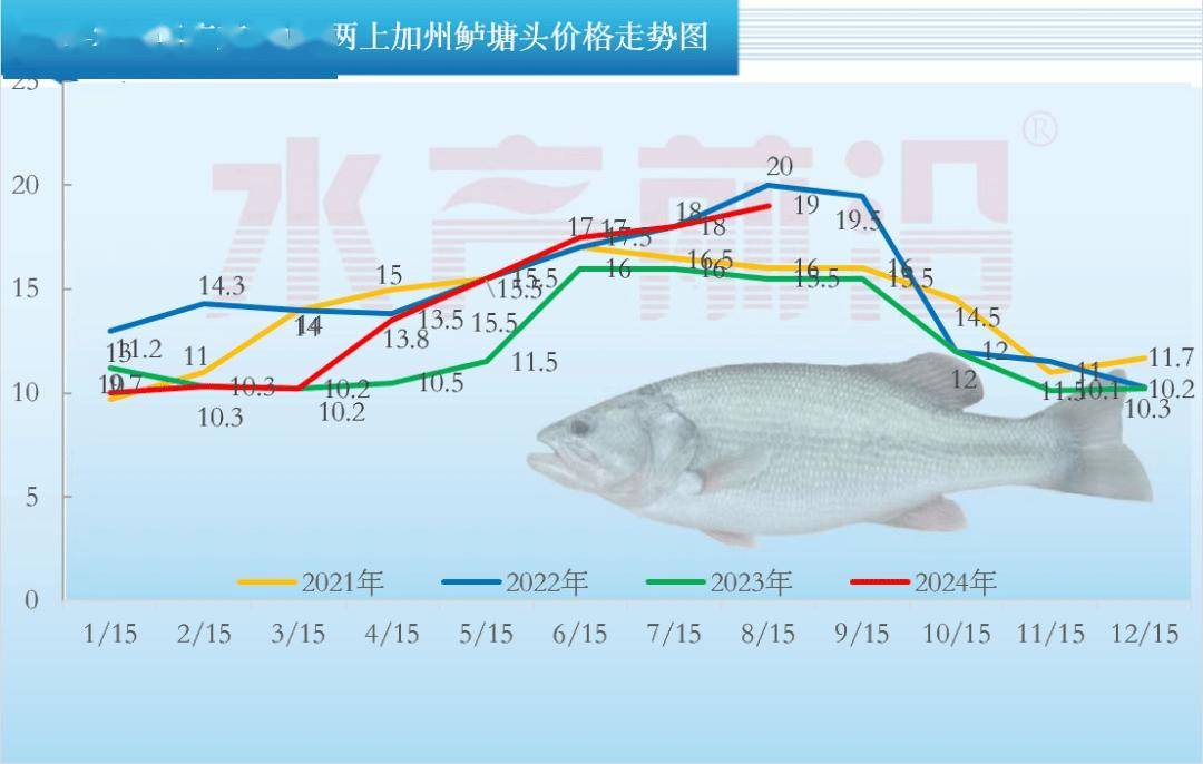 鲈鱼最新价格，市场趋势、养殖技术及消费趋势分析