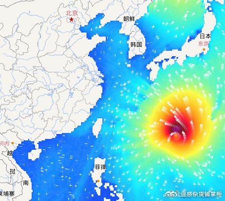 最新台风海的全方位解析与影响预测