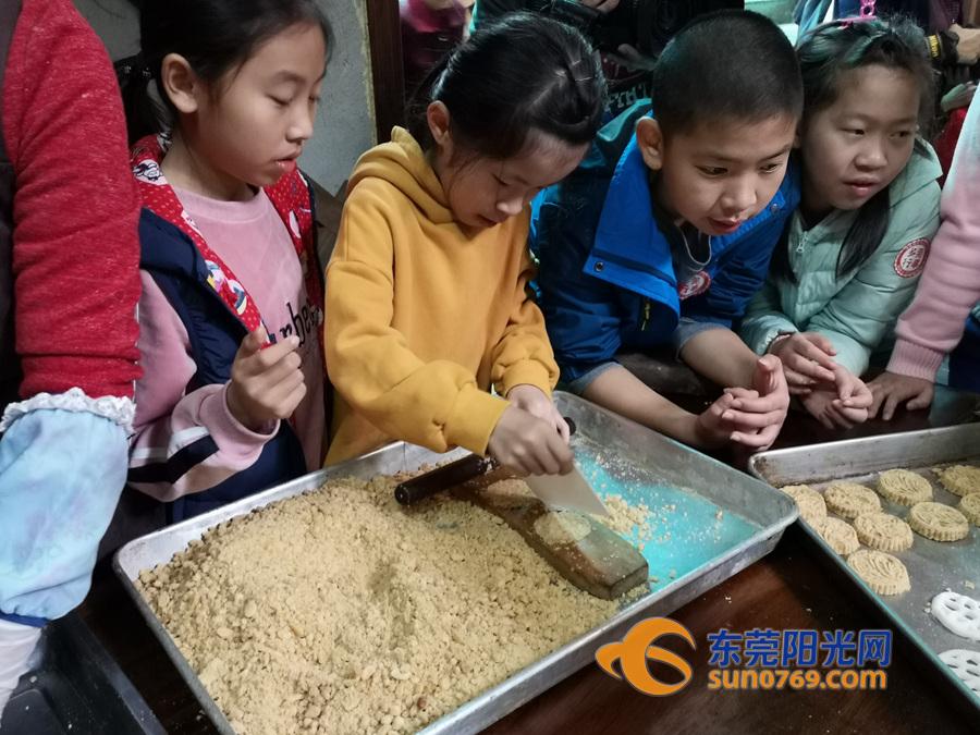 东莞最新视频，城市变迁与人文风貌的生动记录