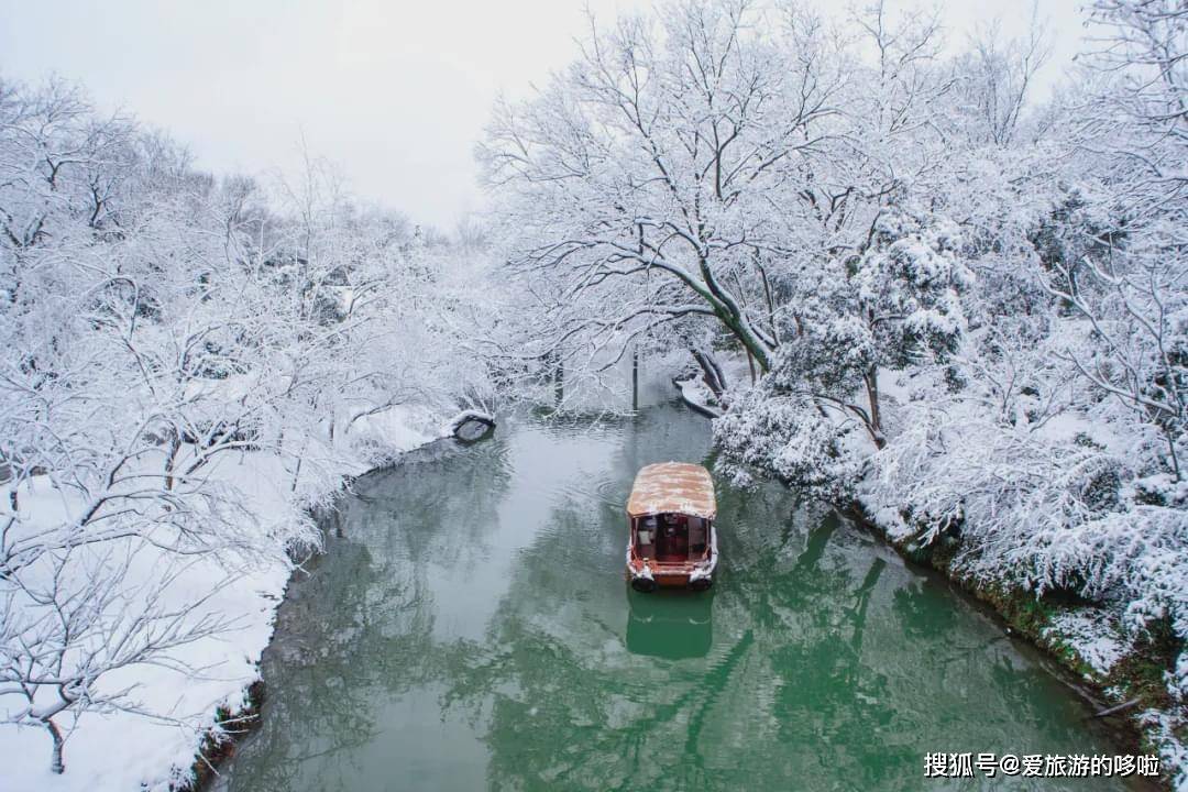 全国下雪最新，一场冬日盛宴的壮丽画卷