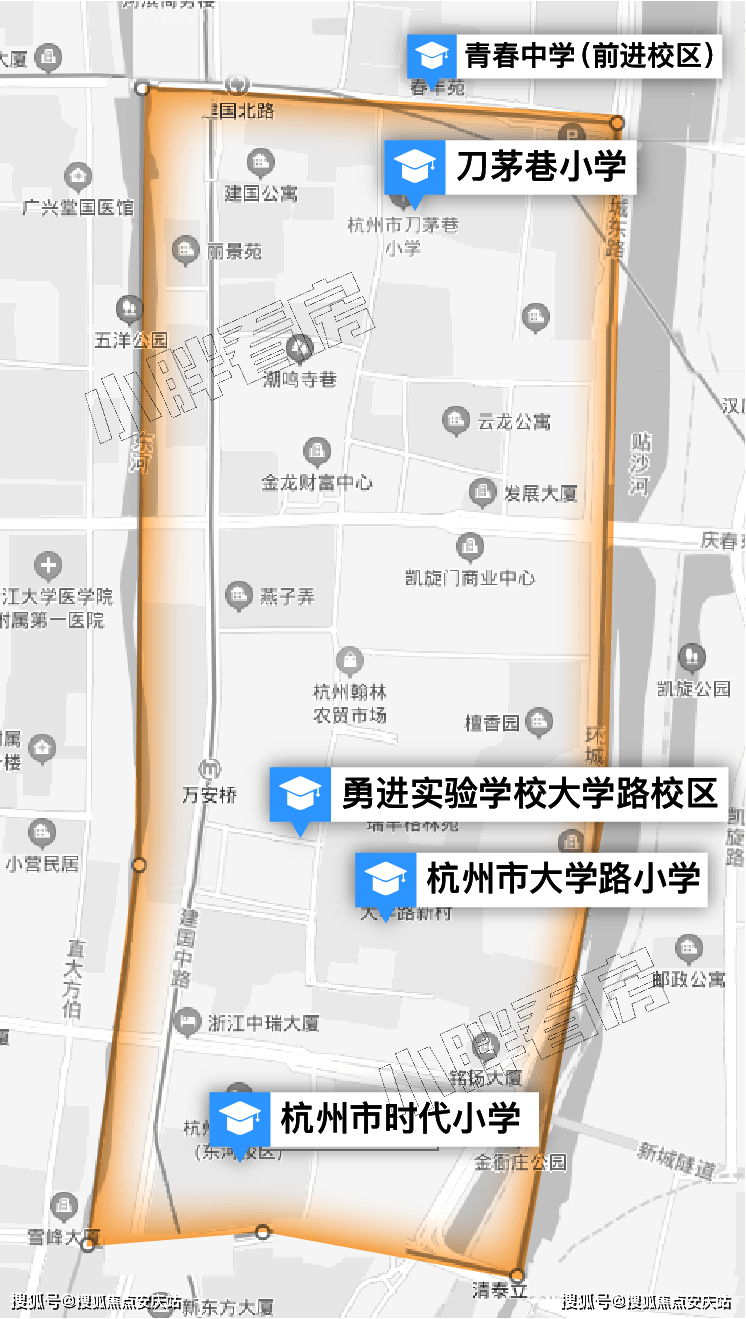 苹果最新价，市场波动背后的深层解析