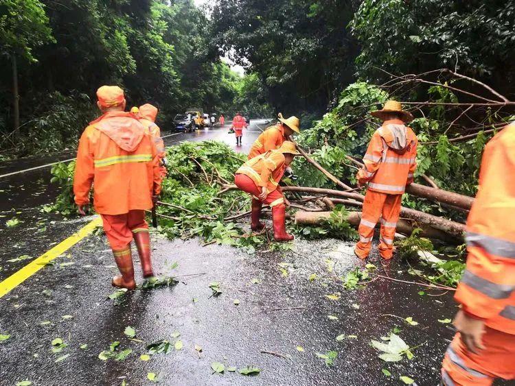 最新新台风，影响、预测与防御策略