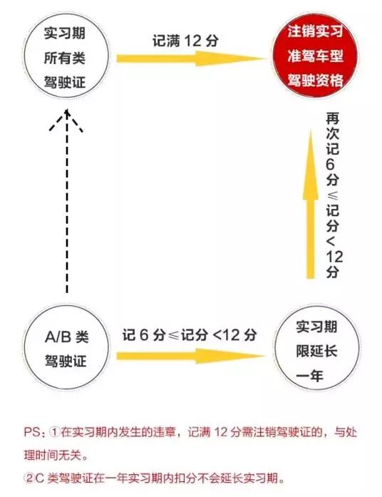 最新驾照分数，影响、变化及应对策略