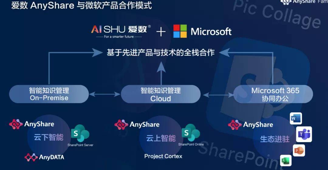 最新下载，探索数字时代的无限可能